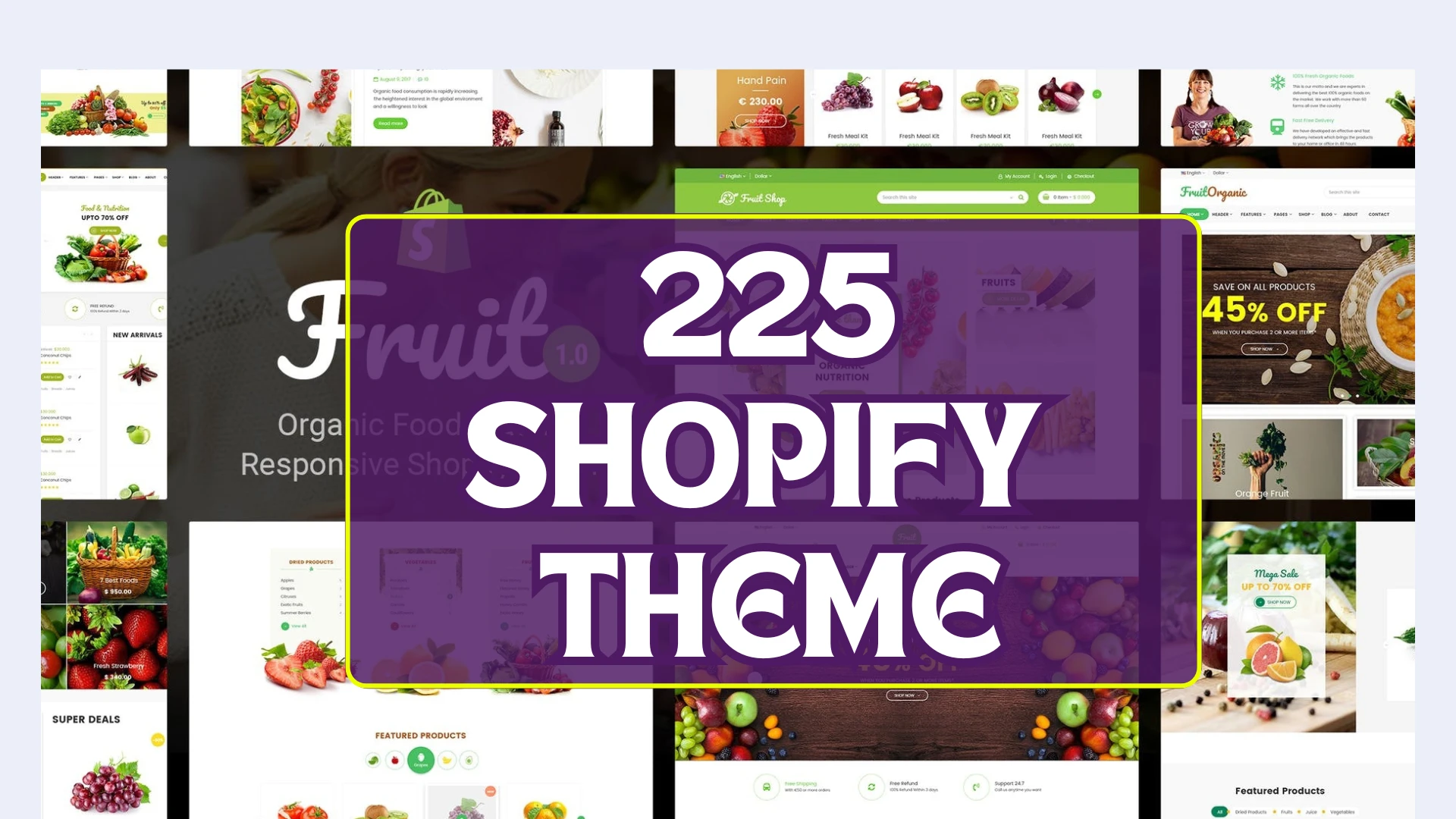 225+ Shopify Premium Themes – Ultimate Store Collection