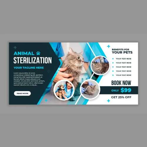 Whisker Wonderland Banner– For Cat Lovers